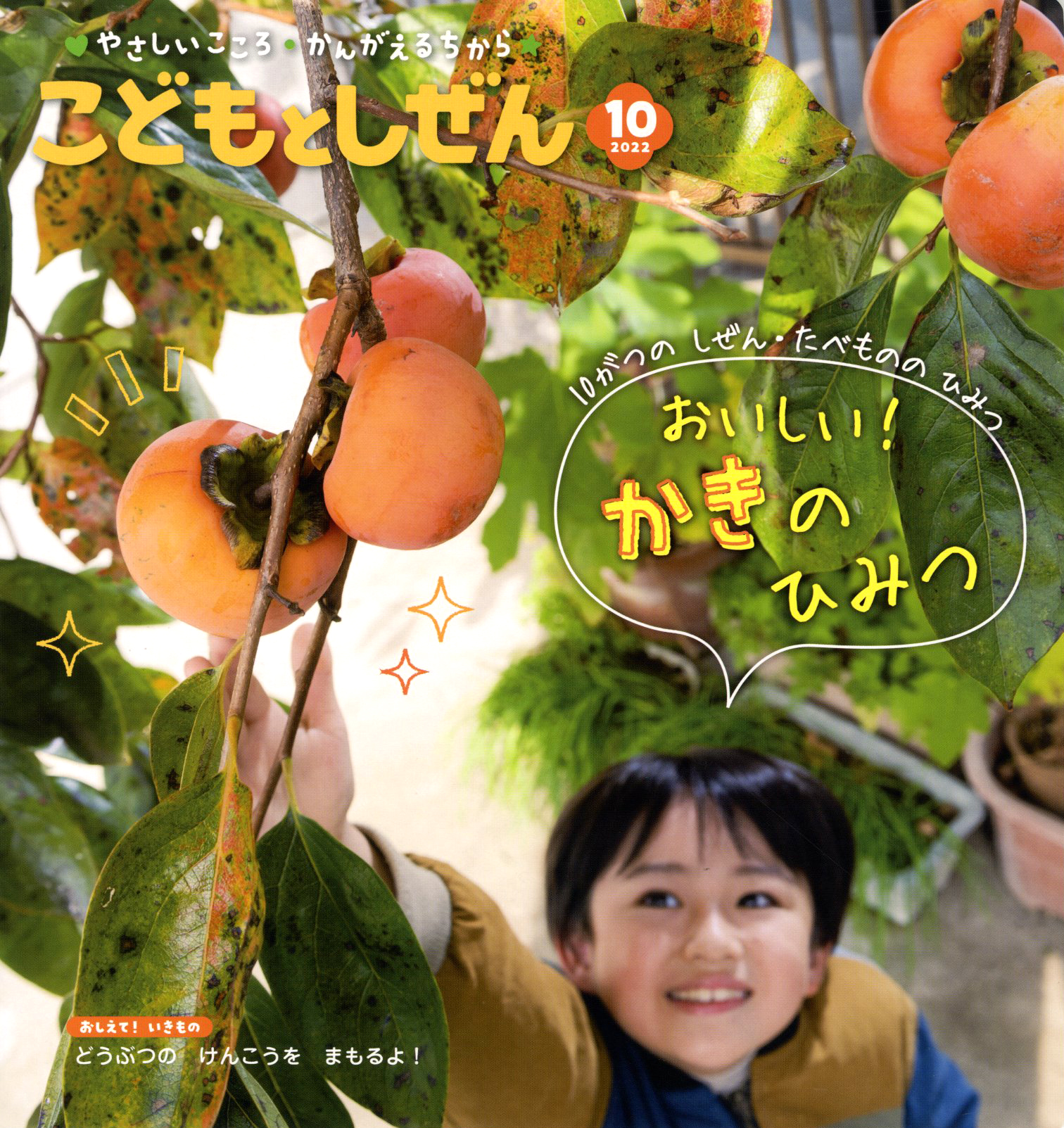 こどもとしぜん 月刊誌 ひかりのくに株式会社 こどもたちの未来のために