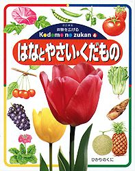 こどものずかん はなと やさい くだもの 出版目録 ひかりのくに株式会社 こどもたちの未来のために