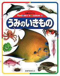 こどものずかん うみの いきもの 出版目録 ひかりのくに株式会社 こどもたちの未来のために